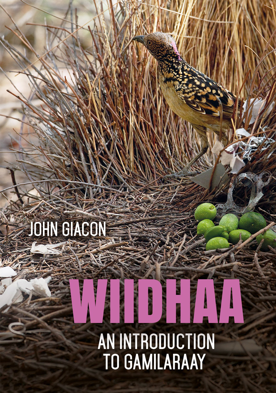 Wiidhaa